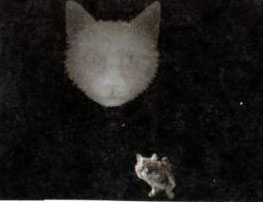 Подсказка к стереограмме - Подсказка к стереограмме -