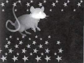 ��������� � ������������ - 