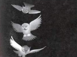 ��������� � ������������ - 