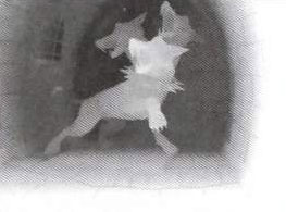 Подсказка к стереограмме - Подсказка к стереограмме -