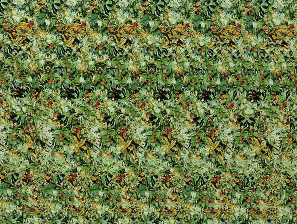 Стереограмма - Кролик Стереограмма - Кролик