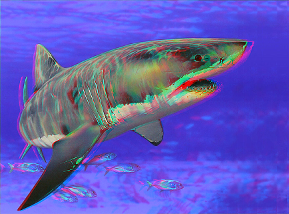 Анаглиф - Акула Анаглиф - Акула
