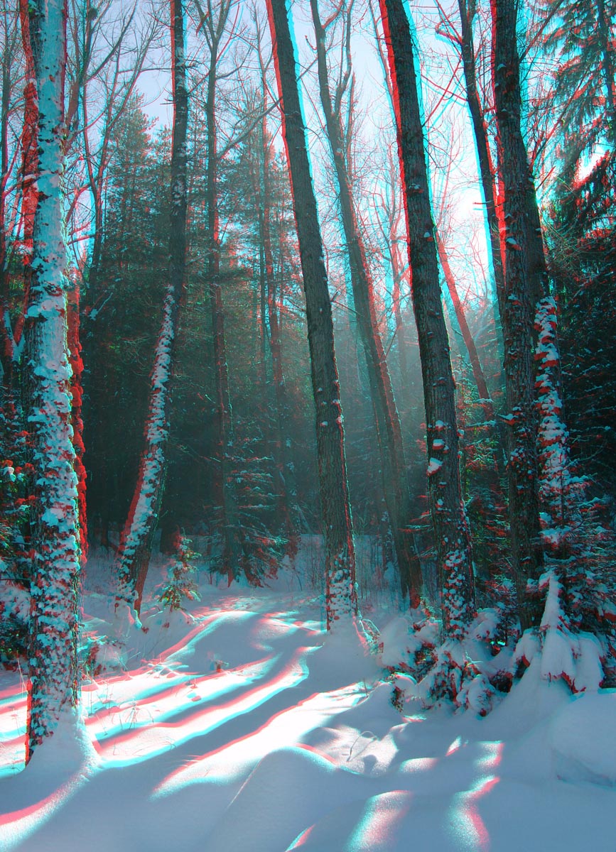 Анаглиф - Зимний лес Анаглиф - Зимний лес