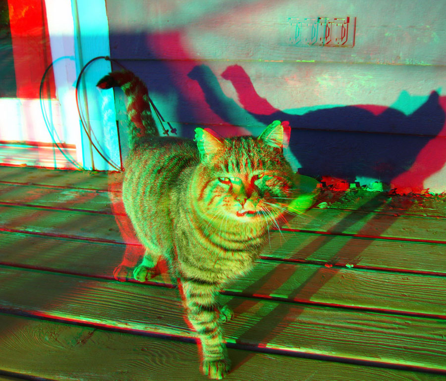 Анаглиф - Котик Анаглиф - Котик