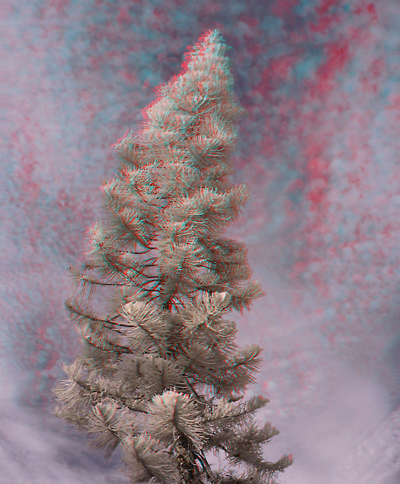 Анаглиф - Одинокая сосна Анаглиф - Одинокая сосна