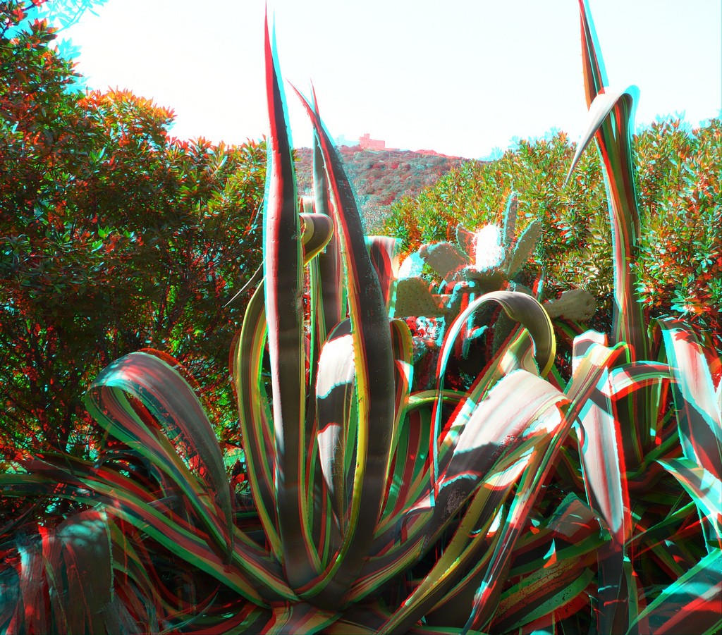 Анаглиф - Агава Анаглиф - Агава