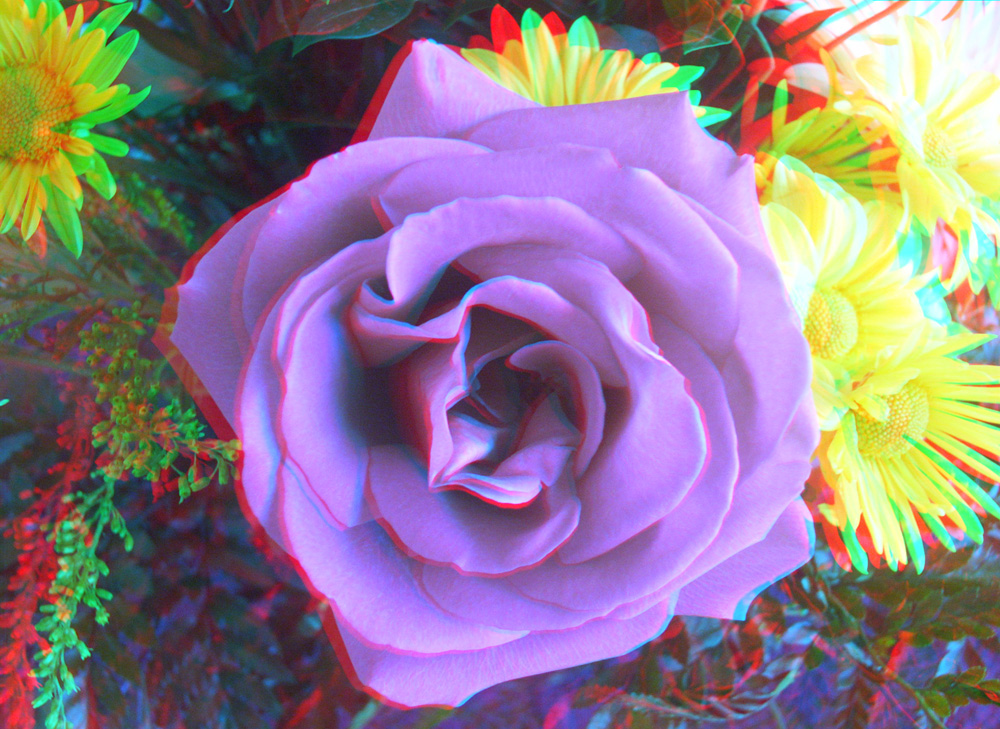 Анаглиф - Фиолетовая роза Анаглиф - Фиолетовая роза