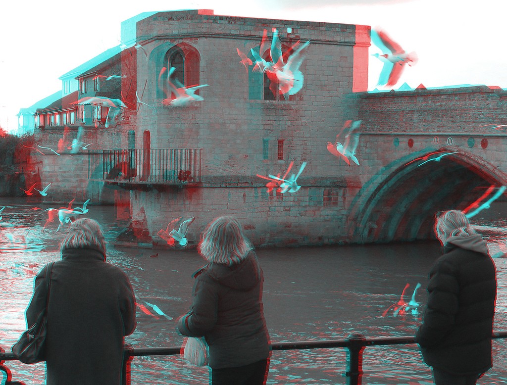 Анаглиф - Кормление чаек Анаглиф - Кормление чаек