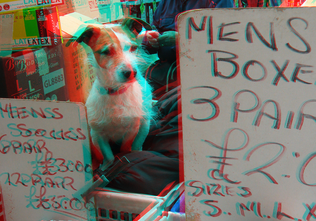 Анаглиф - Джек Рассел терьер Анаглиф - Джек Рассел терьер