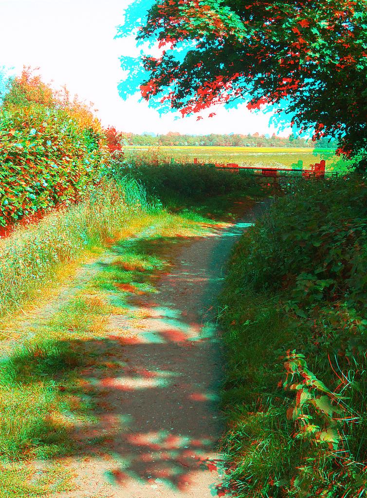 Анаглиф - Тропинка Анаглиф - Тропинка