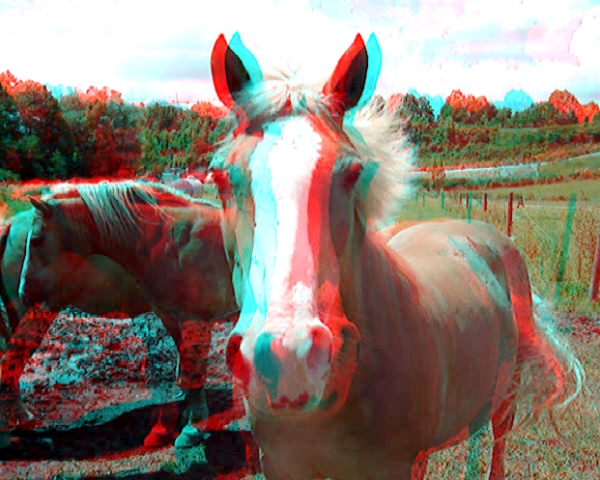 Анаглиф - Лошадки Анаглиф - Лошадки
