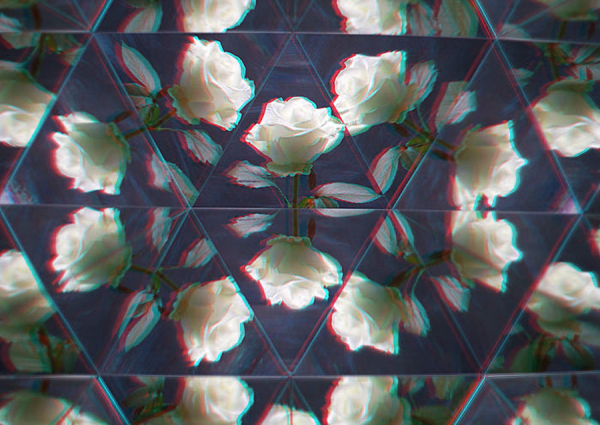 Анаглиф - Орнамент с белыми розами Анаглиф - Орнамент с белыми розами
