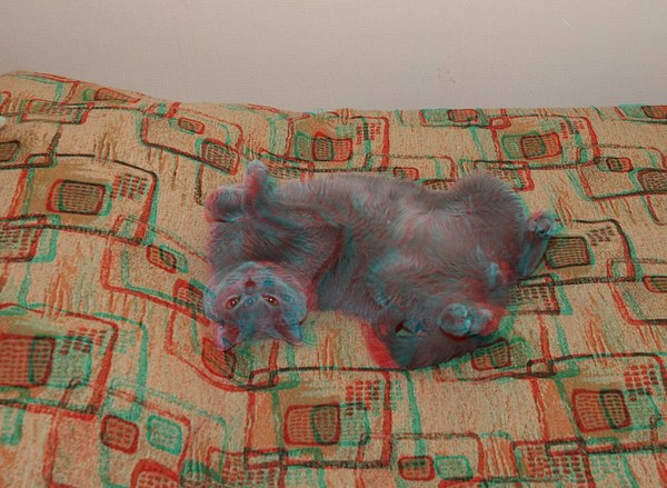 Анаглиф - Кошка нежится на покрывале Анаглиф - Кошка нежится на покрывале