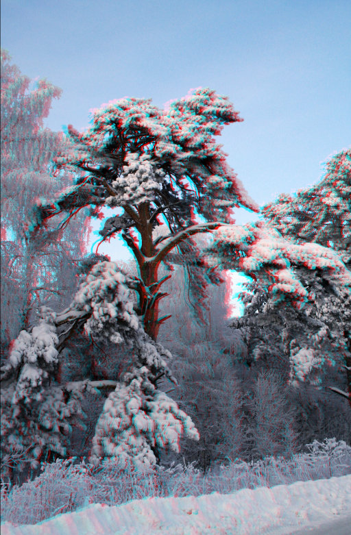 Анаглиф - Зимний лес под снежной шубой Анаглиф - Зимний лес под снежной шубой