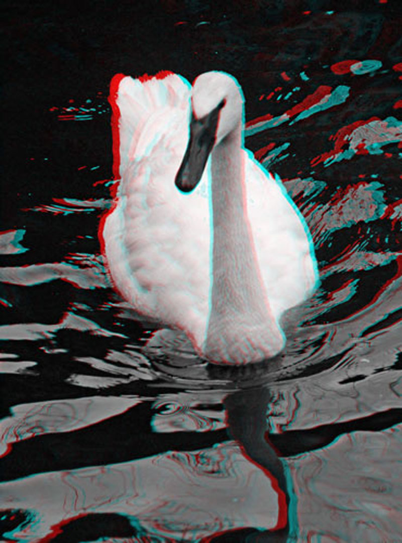 Анаглиф - Белый лебедь Анаглиф - Белый лебедь