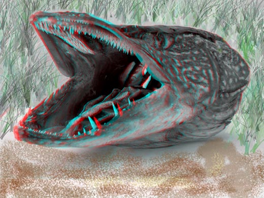 Анаглиф - Щука Анаглиф - Щука