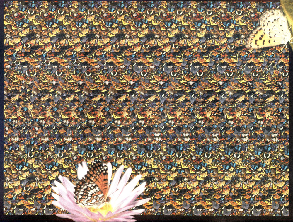 Стереограмма - Бабочки Стереограмма - Бабочки