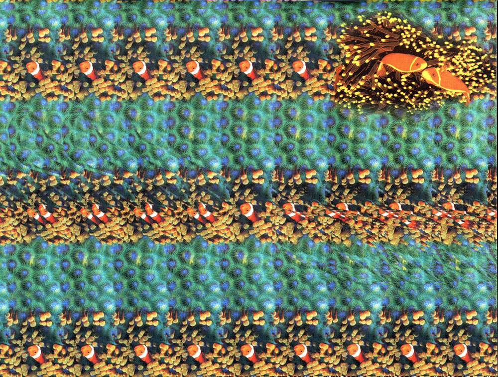 Стереограмма - Кальмар Стереограмма - Кальмар