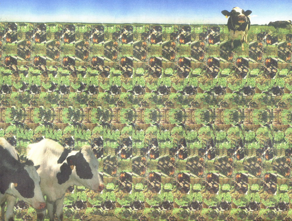 Стереограмма - Корова Стереограмма - Корова