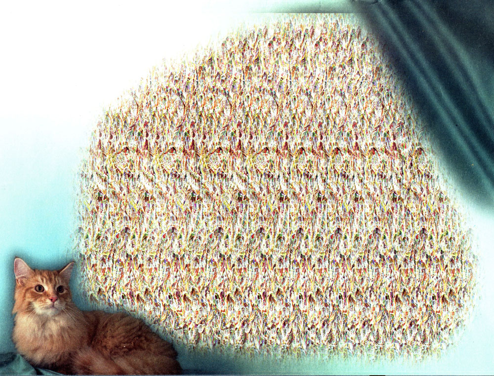 Стереограмма - Кот Стереограмма - Кот