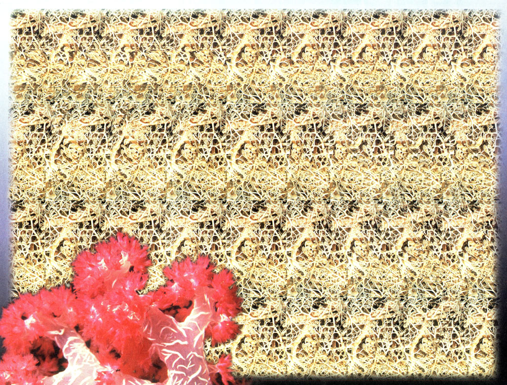 Стереограмма - Морской конёк Стереограмма - Морской конёк