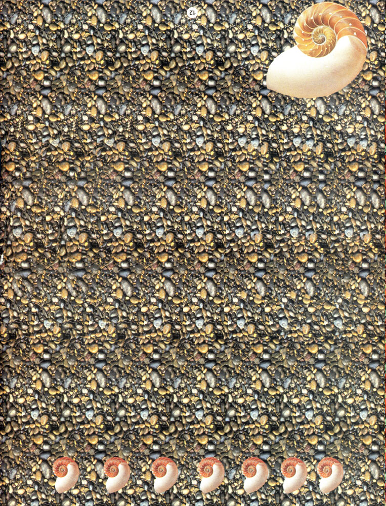 Стереограмма - Ракушка Стереограмма - Ракушка