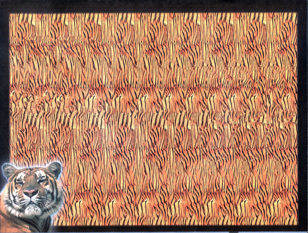 Стереограмма - Тигр Стереограмма - Тигр