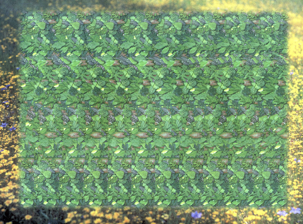 Стереограмма - Улитка Стереограмма - Улитка