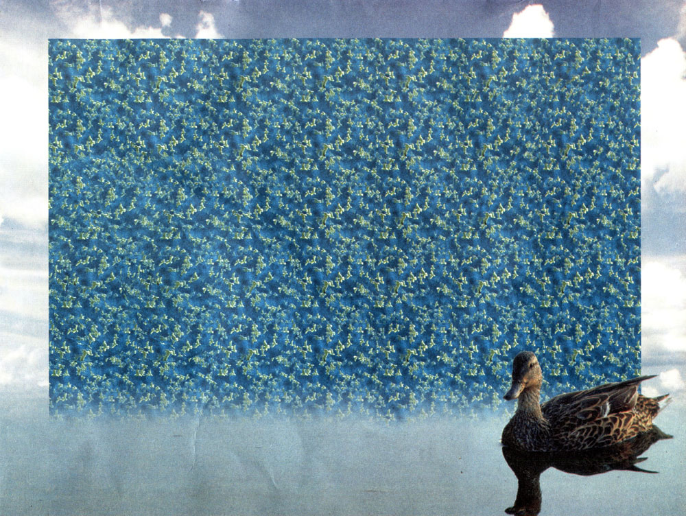 Стереограмма - Утка Стереограмма - Утка