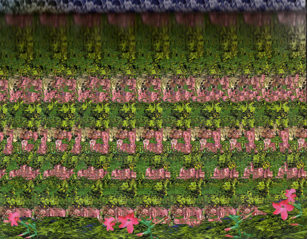 Стереограмма - Бык Стереограмма - Бык