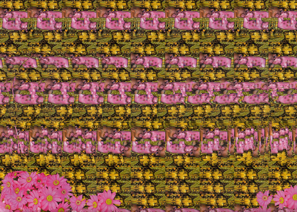 Стереограмма - Свинья с поросёнком Стереограмма - Свинья с поросёнком