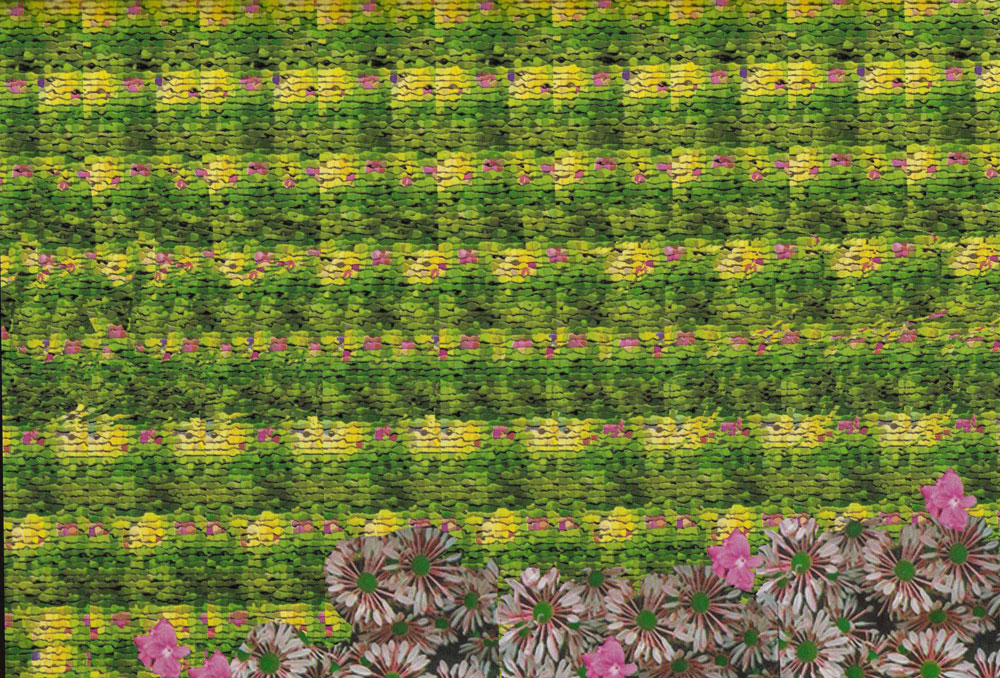 Стереограмма - Мухи Стереограмма - Мухи