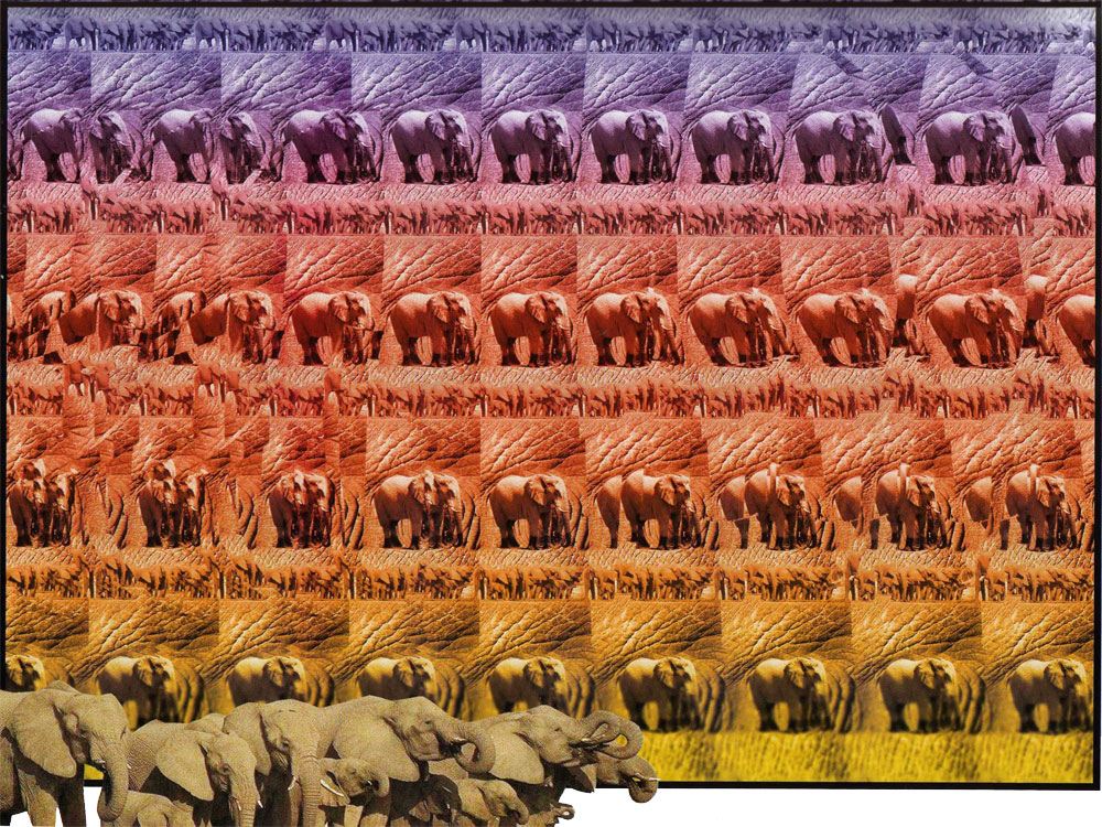 Стереограмма - Слон Стереограмма - Слон