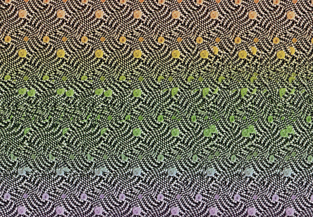 Стереограмма - Скейтбордист Стереограмма - Скейтбордист