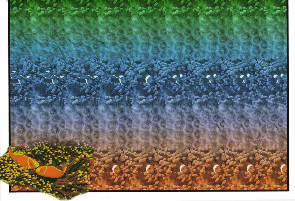 Стереограмма - Осьминог Стереограмма - Осьминог