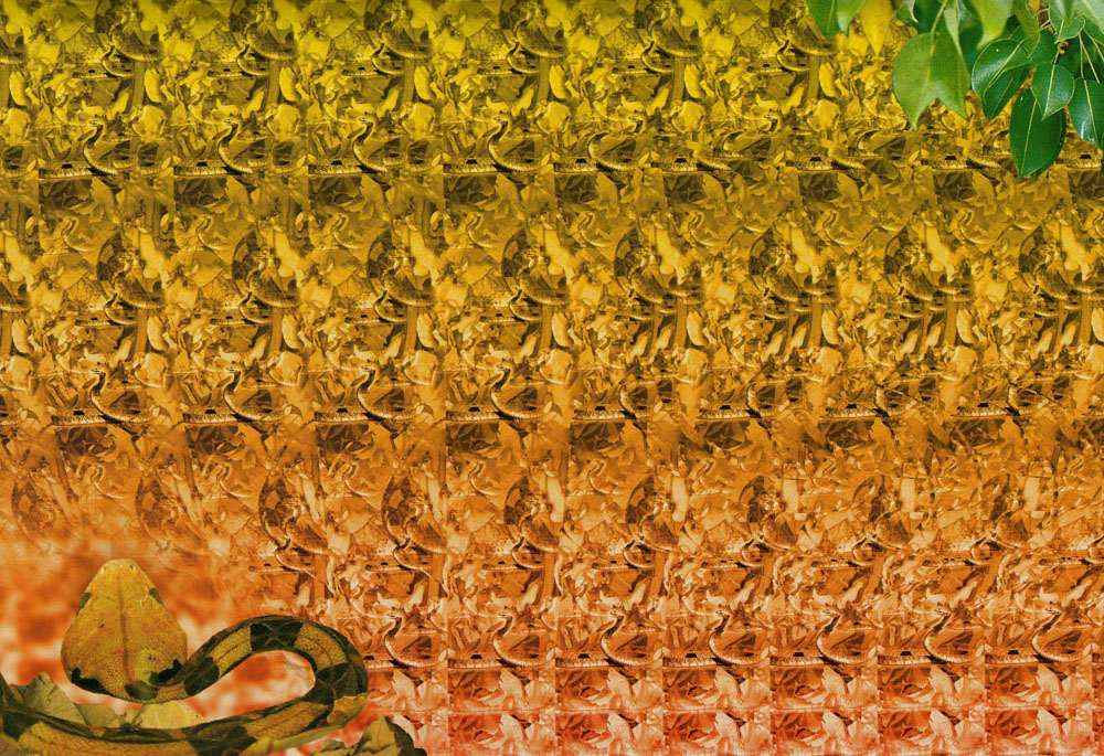 Стереограмма - Кобра Стереограмма - Кобра