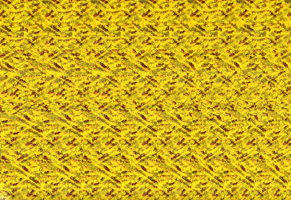 Стереограмма - Лошадь на мосту, запряженная в повозку Стереограмма - Лошадь на мосту, запряженная в повозку