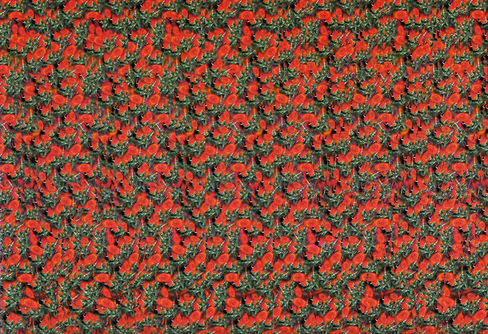 Стереограмма - Темный всадник Стереограмма - Темный всадник