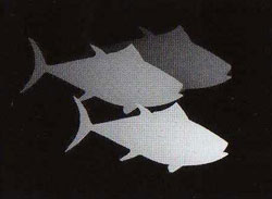 Подсказка к стереограмме - Рыбы Подсказка к стереограмме - Рыбы