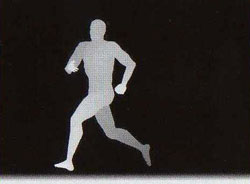 ��������� � ������������ - �����