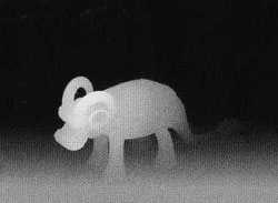 Подсказка к стереограмме - Горный баран Подсказка к стереограмме - Горный баран