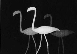 Подсказка к стереограмме - Фламинго Подсказка к стереограмме - Фламинго