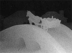 Подсказка к стереограмме - Лошадь на мосту, запряженная в повозку Подсказка к стереограмме - Лошадь на мосту, запряженная в повозку