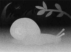 Подсказка к стереограмме - Улитка Подсказка к стереограмме - Улитка