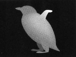 ��������� � ������������ - �������