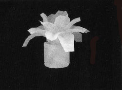 Подсказка к стереограмме - Цветок в горшочке Подсказка к стереограмме - Цветок в горшочке